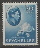 [Local Motives - Aldabra Giant Tortoise, type V4]