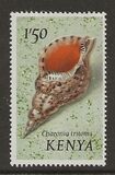 [Seashells, type AT]