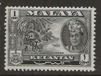 [Sultan Yahya Petra ibn al - marhum Sultan Ibrahim & Local Motifs, प्रकार Y]