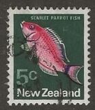 [Local Motifs, type SD]