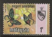[Butterflies, type AK]