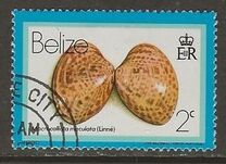 [Shells, වර්ගය DW]