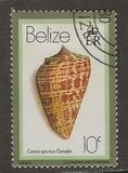 [Shells, වර්ගය EA]