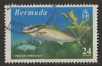 [World Fishing Records, type FP]