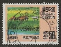 [Wildlife, 類型 GD]