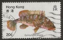[Fish, 类型 GN]
