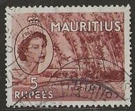 [Queen Elizabeth II - Local Motives, type CN]