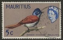 [Birds & Elizabeth II, 유형 CY]