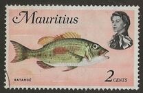 [Marine Life, տեսակ EX]