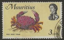 [Marine Life, տեսակ EY]