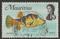 [Marine Life, տեսակ FA]