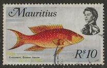 [Marine Life, տեսակ FO]