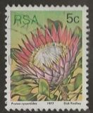 [Flora - Protea Plants, type PK]