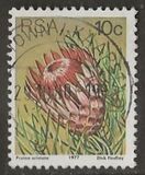 [Flora - Protea Plants, type PP]