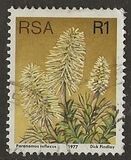 [Flora - Protea Plants, type PV1]