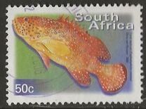[Fauna and Flora - Fish, type ASN]