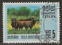 [Wildlife, 類型 GB]