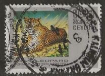 [Wildlife, 類型 GE]