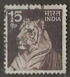 [Local Motifs, type PG]