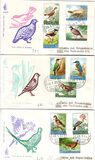 [Birds, type LG]