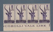 [motivi locali, Scrivi A2]