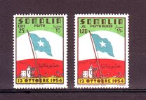 [New National Flag, 類型 BW]