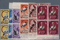 [Wading Birds, type DP]