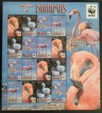 [WWF - Birds - Caribbean Flamingo, type AZA]