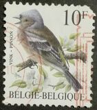 [Birds, type BNI]