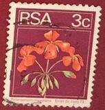 [Flora and Fauna, type NI]