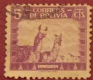 [Fauna boliviana., tipo CV2]