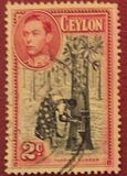 [King George VI - Local Motives, 類型 BM]