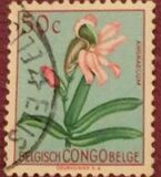 [Definitive Issues - Flowers, 类型 EI]