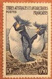 [Penguins and Seals, type B]