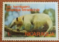 [Wild Animals, tyyppi AOH]