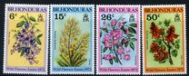 [Wild Plants, Typ FF]