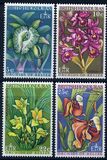 [Orchids of Belize, ประเภท DL]