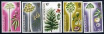 [Trees - Timber Industry, type FO]