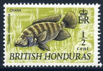 [Wildlife - Fish, տեսակ DT1]