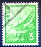 [Definitive Issue, type AXG]