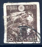 [Local Motifs, 類型 FZ]