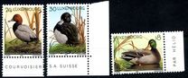 [Ducks, type ARP]