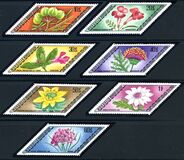 [Rare Medicinal Plants, type AGE]