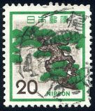 [Definitive Issue, type AYA]