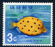 [Tropical Fish, type FC]