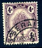 [Sheaf of Rice - New Colors, type A16]