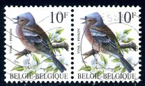 [Birds, type BNI]