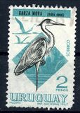 [Birds, tipas TX]