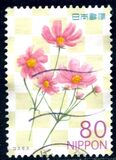 [Flowers 2011, type IQB]