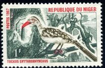 [Birds, Вид EF]